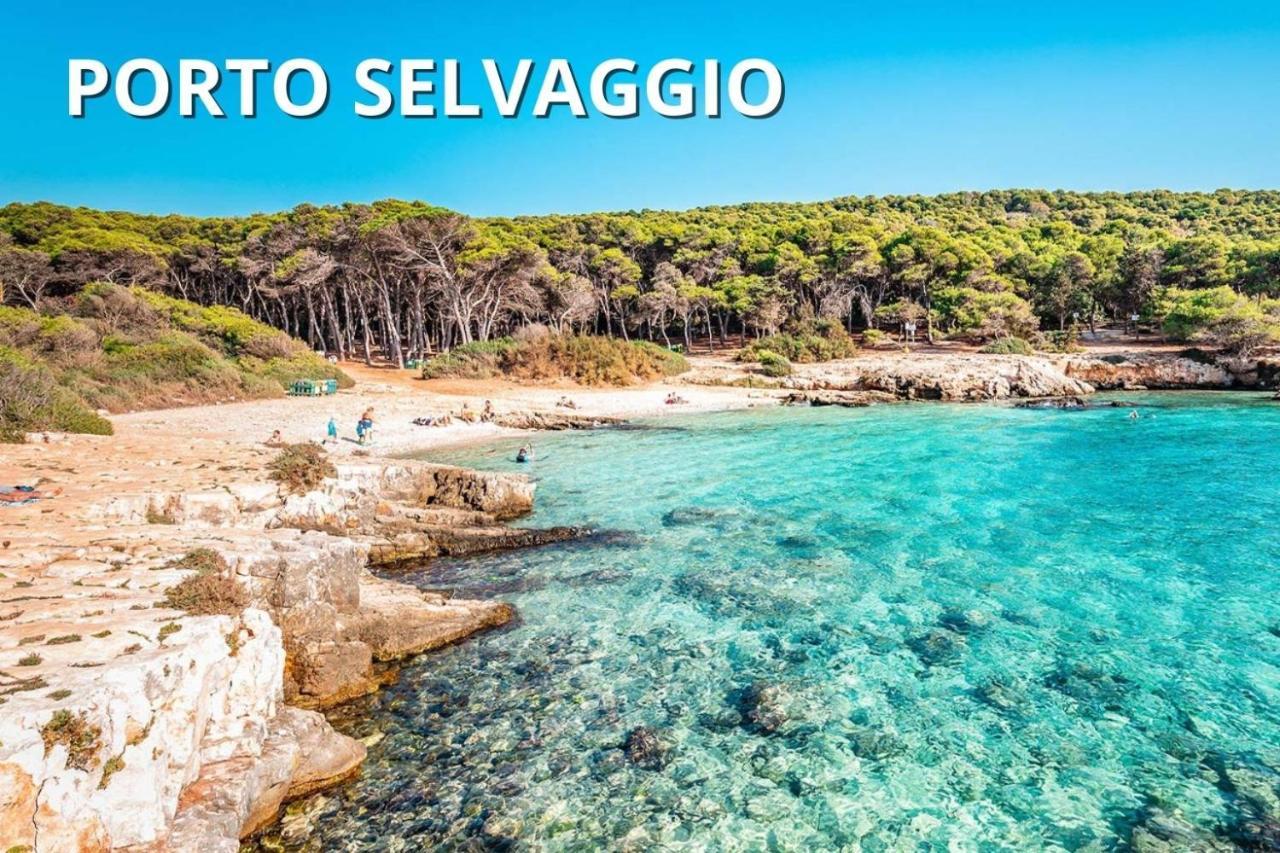 Delfino - Ampio Appartamento A 40 Metri Dalla Spiaggia Lido Conchiglia Extérieur photo