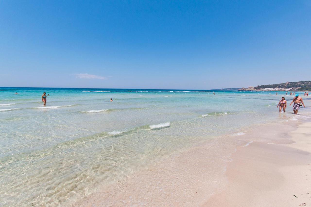 Delfino - Ampio Appartamento A 40 Metri Dalla Spiaggia Lido Conchiglia Extérieur photo