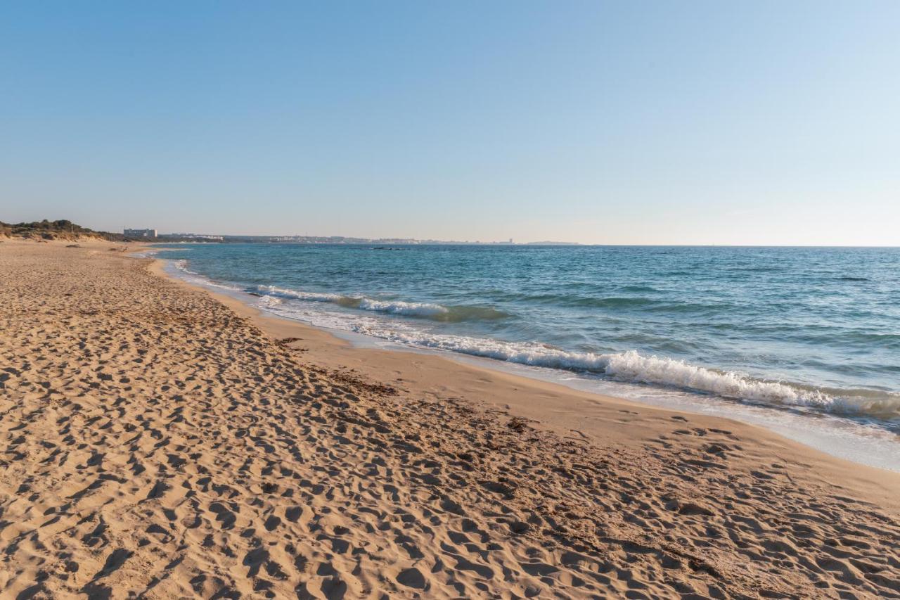 Delfino - Ampio Appartamento A 40 Metri Dalla Spiaggia Lido Conchiglia Extérieur photo